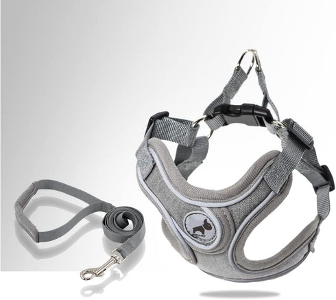 Dog Harness with Leash Set, No Pull Dog Harnesses with Breathable Padded Puppy Harness for Small Dogs Training and Running(XS, Gray)...