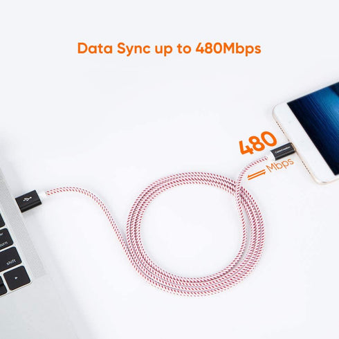 CableCreation Short USB C Cable 1.6 FT, USB A to USB C Cable Braided USB to C Cable Fast Charging Cable 3A 480Mbps Data, Compatible with MacBook A...