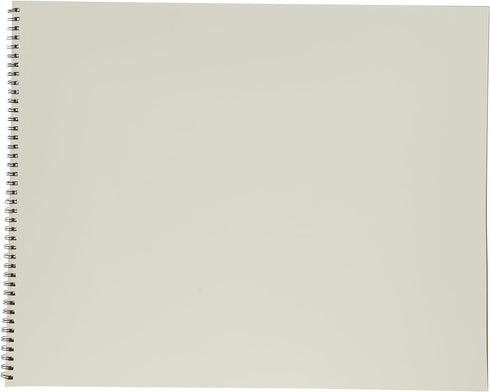 Strathmore (400-107 400 Series Drawing, Smooth Surface, 14x17, White...