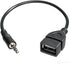 AUX to USB Adapter (Not for Headphone) 3.5mm Male Audio Jack Plug to USB 2.0 Female Converter for Playing Music with USB Flash Drive in Car - 2 Pa...