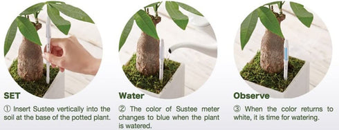 Sustee Aquameter (2 Green, Medium) - Plant Soil Moisture Meter, Monitor, Probe, Indicator - Best for Potted Plants - Package of 2 Sensors...