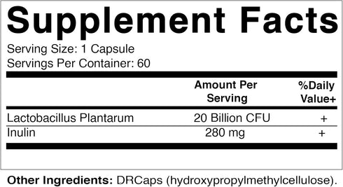 Vitamatic Lactobacillus Plantarum - 20 Billion per DR Capsule - 60 Count - Digestive Support - Made with Prebiotic Inulin Fiber...