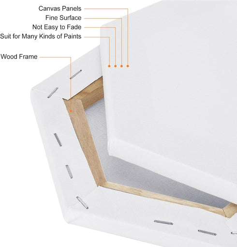 PATIKIL Paint Canvases for Painting, 2 Pack 12x10 Inch Hexagon Wood Frame Stretched Blank Art Canvas Board Panels for Acrylic, Oil, Tempera Painti...