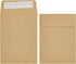 Juvale 100 Pack Small Seed Saving Envelopes - 4.5x3.25 Self Adhesive Blank Packets for Coins, Stamps, Mini Parts Storage (Brown)...