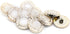 20 pcs White Translucent Acrylic Electroplate Enamel Edges Sewing Shank Buttons for Coats -25mm -1"...