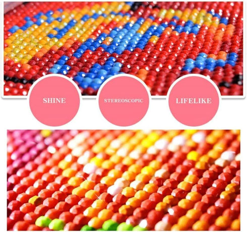 pigpigboss Cat Paint by Numbers Kit for Adult Full Round Drill Diamond Painting Dots Cat Sleeping on Books Diamond Painting Arts Crafts Kit for Be...