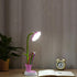 Desk Lamp for Kids Sunflower LED Charging Table Lamp Support Eye Protection Small Desk Folding for Reading,Study and Office, Adjustable Brightness...