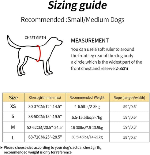 Dog Harness with Leash Set, No Pull Dog Harnesses with Breathable Padded Puppy Harness for Small Dogs Training and Running(XS, Gray)...