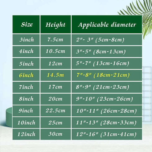 Artliving 6 Inch Clear Plastic Easels or Stand/Plate Holders to Display Pictures or Other Items at Weddings, Home Decoration, Birthdays, Tables (1...