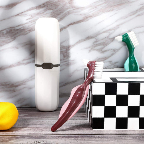 WILLBOND 6 Pieces Hard Denture Brush Denture Toothbrush Cleaning Brush with White Carrying Case for False Teeth Cleaning (Red, Green and Blue)...