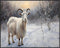 Posterizer 1 pcs-goat in snowy winter nature-oil painting style 4-Art for Animal Lovers-Landscape & Nature Art-Decor for Home & Office- unframed w...