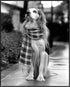 Posterizer 1 pcs-black and white photo of a long haired dog with a scarf-Art for Animal Lovers-Gift for Men Women Teens-Decor for Home & Office- u...