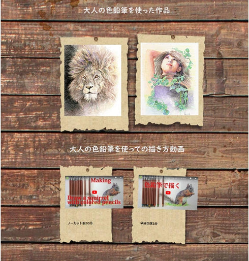 Hokusei Pencil OTP-IE580BK Mechanical Pencil, Adult Colored Pencils, Black...