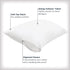 Set of 2 Standard/Queen AllerEase Pillow Protectors - Moisture Wicking, Advanced Allergy Protection - Premium Polyester, Zippered Protectors...