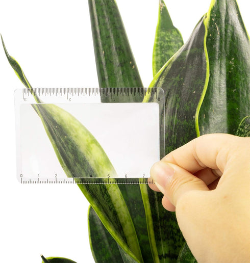 20 Pieces Fresnel Lens Credit Card Magnifier Pocket Plastic Ruler Starting Solar Fire Emergency Bushcraft Survival Compact Outdoor Leisure Classro...