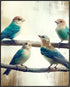 Posterizer 1 pcs-cute little birds on a branch serene scene poster -1-Art for Animal Lovers Gift for Men Women Teens Decor for Home & Office- unfr...