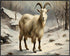 Posterizer 1 pcs-goat in snowy winter nature-oil painting style 6-Art for Animal Lovers-Landscape & Nature Art-Decor for Home & Office- unframed w...