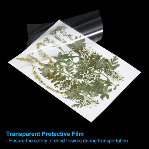 PATIKIL Dried Pressed Flowers, Natural Dried Flower Leave Real Pressed Flowers for DIY Art Crafts Resin Mold Scrapbooking, Green Series...