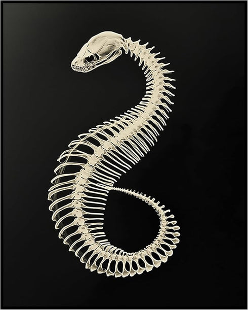 Posterizer 1 pcs-abstract reptile X-ray art -1-Art for Animal Lovers Gift for Steampunk or Goth Fans Living Room Bedroom Decor- unframed wall art...