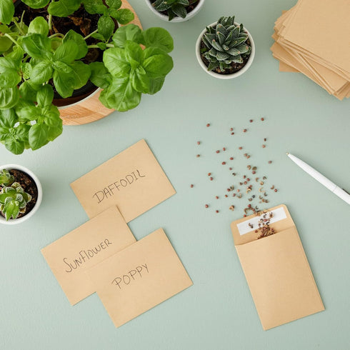 Juvale 100 Pack Small Seed Saving Envelopes - 4.5x3.25 Self Adhesive Blank Packets for Coins, Stamps, Mini Parts Storage (Brown)...