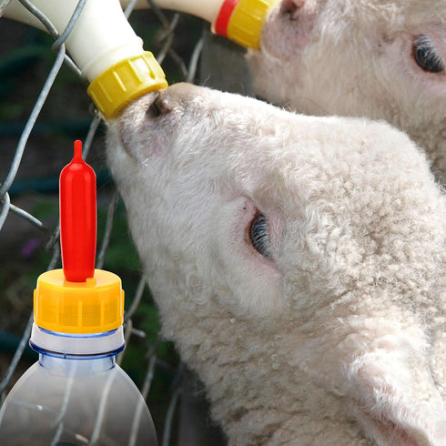 PAGOW 10PCS Nipple for Goats, Small Animal Milk Drink Nipple, Soft Rubber Pacifier for Nursing Lambs and Goat Kids...