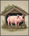 Posterizer 1 pcs- A pig on a small pigsty-Art for Animal Lovers- Gift for Men Women Entrepreneur Teens-Living Room Bedroom Decor- unframed wall ar...