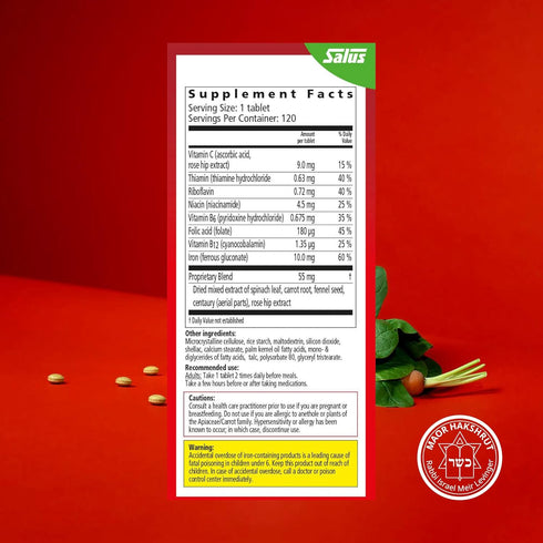 Floradix Iron Tablets - Energy Support Supplement for Men & Women - Natural Iron Supplement with B Vitamins & Vitamin C - Non-GMO, Vegetarian & La...