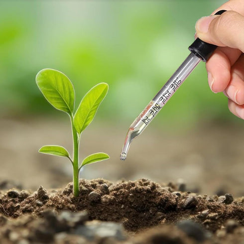 4 Pcs 1mL Eye Droppers- Bent & Straight Tips for Essential Oils, Glass Dropper Suitable for Medicine, Feeding, Food, Kids, Lab, Health Care...