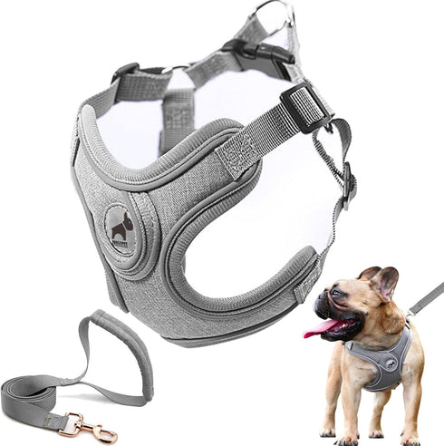 Dog Harness with Leash Set, No Pull Dog Harnesses with Breathable Padded Puppy Harness for Small Dogs Training and Running(XS, Gray)...