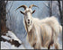 Posterizer 1 pcs-goat in snowy winter nature-oil painting style 2-Art for Animal Lovers-Landscape & Nature Art-Decor for Home & Office- unframed w...
