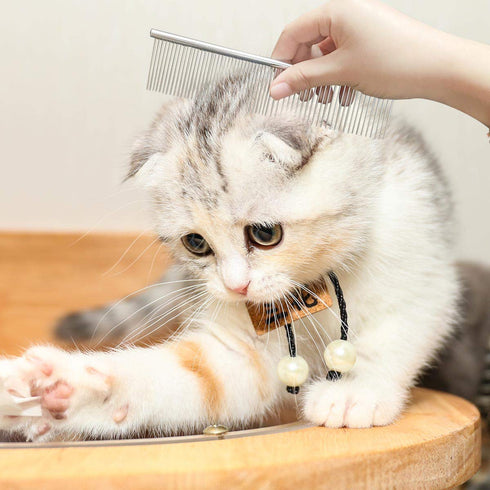 Pet Steel Comb Stainless Steel Grooming Comb with Rounded Ends Steel Combs for Dog Cat Steel Greyhound Comb Stainless Steel Cats Teeth Comb Profes...