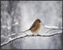 Posterizer 1 pcs-cute little bird in snowy winter scene -2-Art for Animal Lovers-Landscape & Nature Art-Decor for Home & Office- unframed wall art...