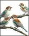 Posterizer 1 pcs-cute little birds on a branch serene scene poster -2-Art for Animal Lovers Gift for Men Women Teens Decor for Home & Office- unfr...