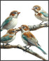 Posterizer 1 pcs-cute little birds on a branch serene scene poster -2-Art for Animal Lovers Gift for Men Women Teens Decor for Home & Office- unfr...