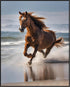 Posterizer 1 pcs- beautiful running horse in the beach-Art for Animal Lovers-Gift for Art Lovers-Living Room Bedroom Decor- unframed wall art...