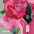 Fiskars Floral Pruning Shears - Plant Cutting Scissors/Garden Clippers For Deadheading and Working with Flowers - Rose Petal Pink...