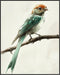 Posterizer 1 pcs-cute little birds on a branch serene scene poster -3-Art for Animal Lovers Gift for Men Women Teens Decor for Home & Office- unfr...