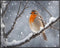 Posterizer 1 pcs-cute little bird in snowy winter scene -1-Art for Animal Lovers-Landscape & Nature Art-Decor for Home & Office- unframed wall art...