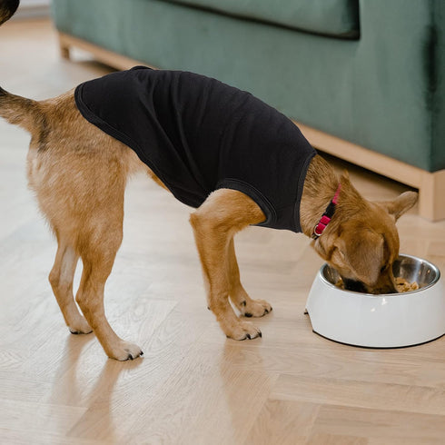 Dog Shirts Blank Clothes 3 Pieces Dog T-Shirts Apparel Shirts Soft and Dry Breathable Large Dogs Cats Pet Sleeveless Vest T-Shirt Apparel Clothing...