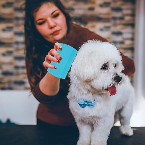 yueton 4PCS Flea Lice Fine Toothed Comb Flea Comb Double Row Flea Comb Double Sided Pet Comb Pet Grooming Comb for Dogs Cats or Human Hair...