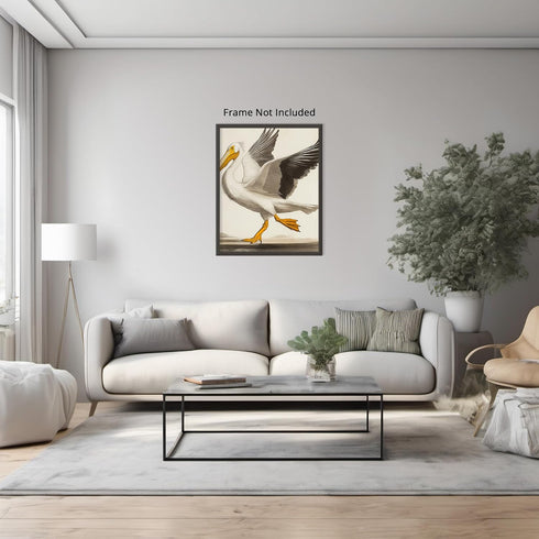 Posterizer 1 pcs-White Pelican detailed art work 2-Art for Animal Lovers-Collectibles & Fine Art-Decor for Home & Office- unframed wall art...