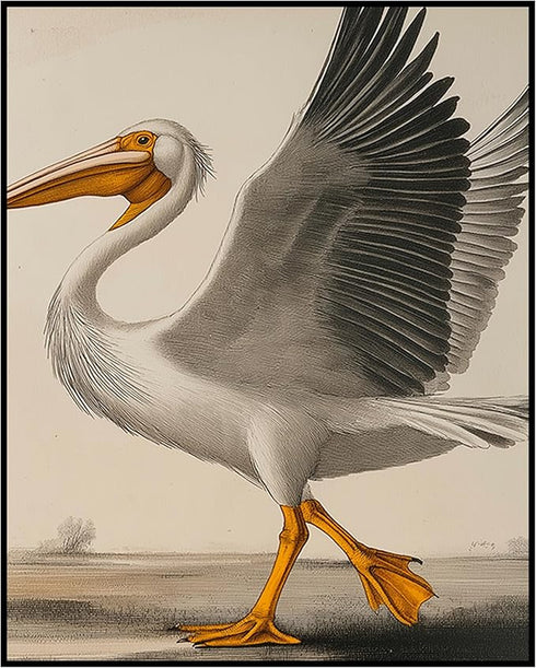 Posterizer 1 pcs-White Pelican detailed art work 1-Art for Animal Lovers-Collectibles & Fine Art-Decor for Home & Office- unframed wall art...