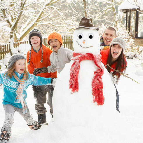 DECORA 2 Inch Wiggle Googly Eyes with Self Adhesive Set of 24...