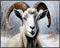 Posterizer 1 pcs-goat in snowy winter nature-oil painting style 1-Art for Animal Lovers-Landscape & Nature Art-Decor for Home & Office- unframed w...