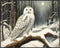 Posterizer 1 pcs-snowy winter scene of a white owl-oil painting style 2-Art for Animal Lovers-Landscape & Nature Art-Decor for Home & Office- unfr...