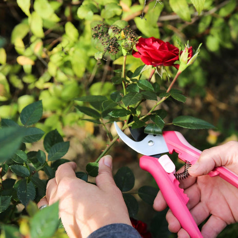 Fiskars Floral Pruning Shears - Plant Cutting Scissors/Garden Clippers For Deadheading and Working with Flowers - Rose Petal Pink...