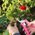Fiskars Floral Pruning Shears - Plant Cutting Scissors/Garden Clippers For Deadheading and Working with Flowers - Rose Petal Pink...