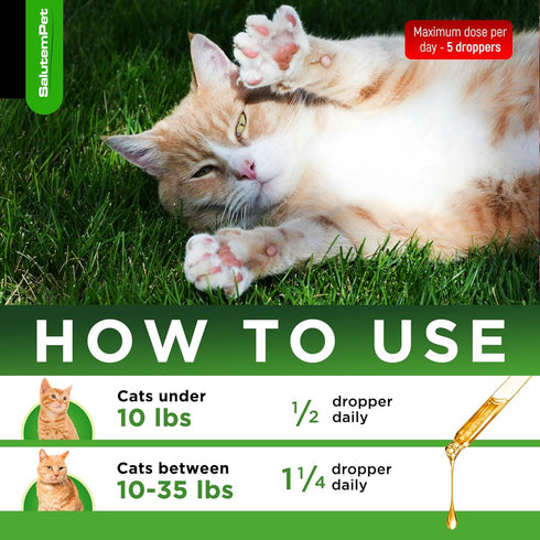 Natural Antibiotics for Cats | Cat Antibiotics | Supports Cat Allergy Relief | Cat Itch Relief | Cat Allergy Support | Cat Multivitamin | Pet Anti...