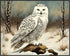 Posterizer 1 pcs-snowy winter scene of a white owl-oil painting style 5-Art for Animal Lovers-Landscape & Nature Art-Decor for Home & Office- unfr...