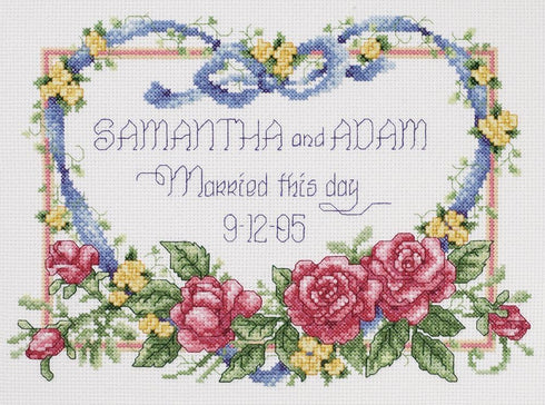 Janlynn 056-0193 Cross Stitch Kit, 8-Inch by 10-Inch, Married This Day , White...